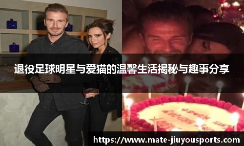 退役足球明星与爱猫的温馨生活揭秘与趣事分享